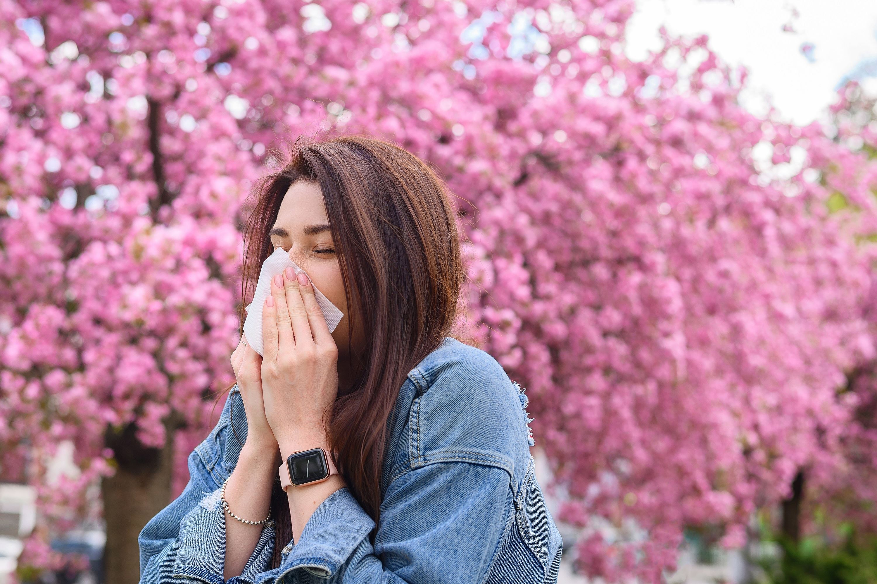 Spring Pollen Which Trees Cause Allergies?